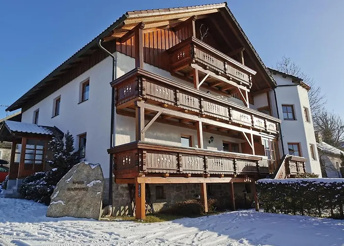 Apartamento Ferienhaus-haidweg-wohnung-3 Haidmühle