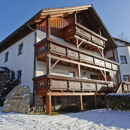 Apartament Ferienhaus-haidweg-wohnung-3 Haidmühle